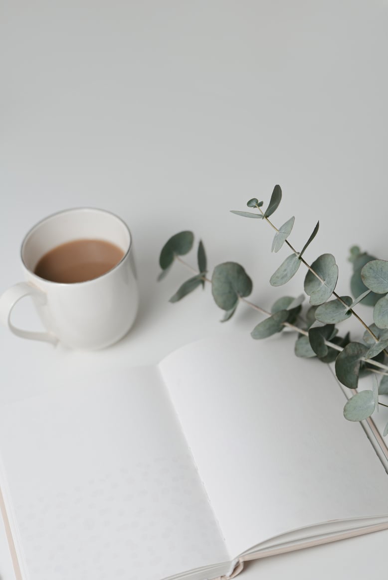 Blank journal or notebook with eucalyptus and coffee, minimal